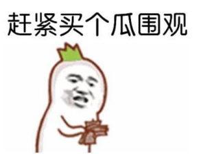 吃瓜群众txt免费下载,一场网络狂欢背后的真相  第3张